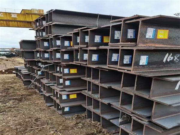 ����� (2).jpg